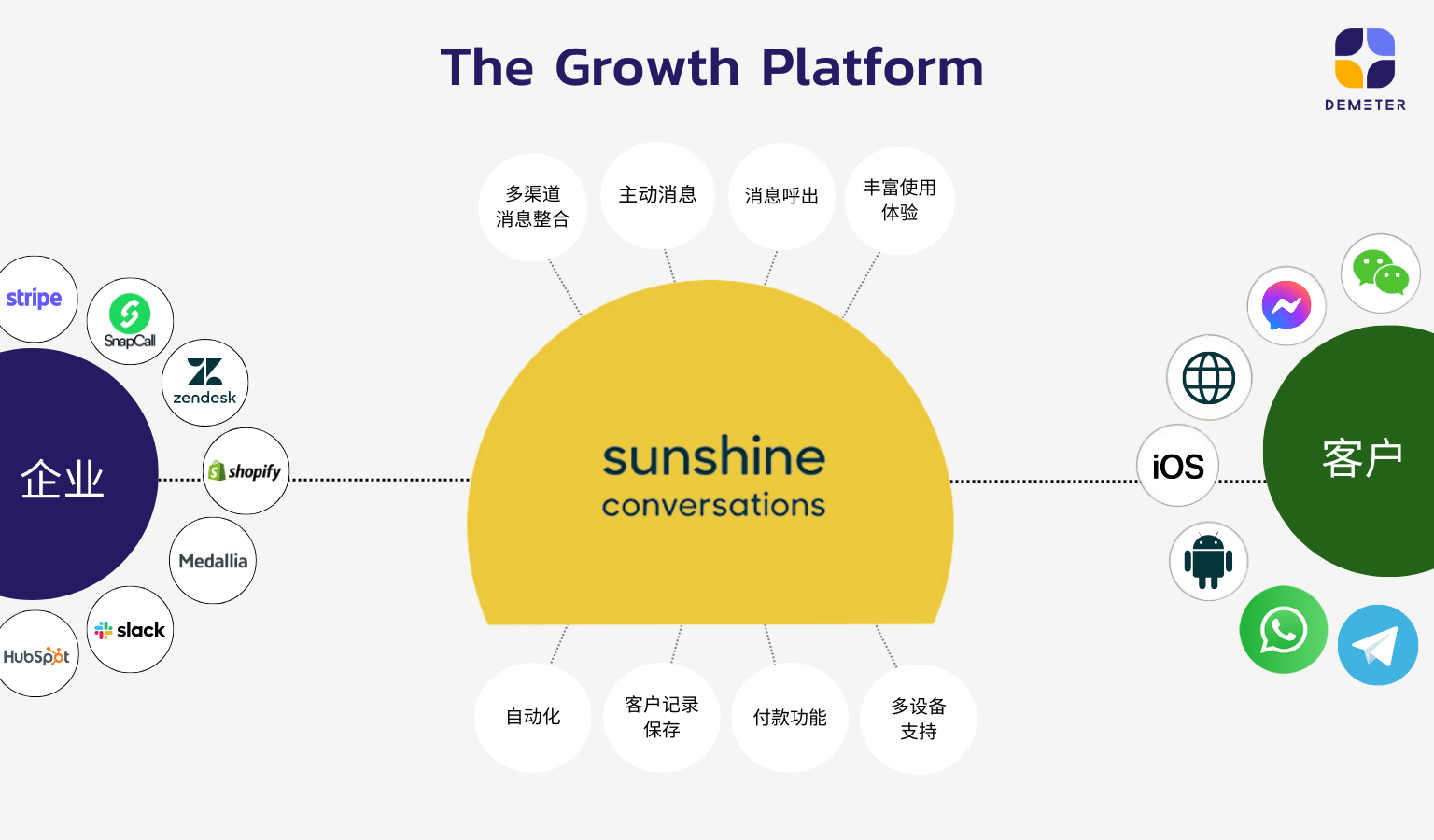 The Growth Platform_ZH